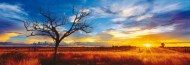 Puzzle Szürke: Desert Oak at Sunset, Ausztrália