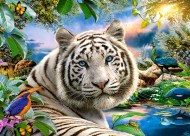Puzzle Gyönyörű fehér tigris 