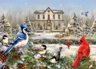 Puzzle Country House Birds