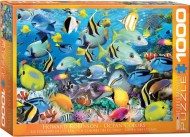 Puzzle Color Reef
