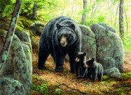 Puzzle Millette: Medveď s mláďatmi