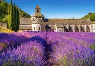 Puzzle Лавандовое поле в Провансе, Франция