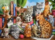 Puzzle House of Cats