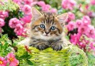 Puzzle Kitten in bloementuin