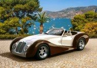 Puzzle Roadster in the Riviera