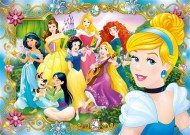 Puzzle Prinses