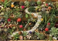 Puzzle Succulent Garden