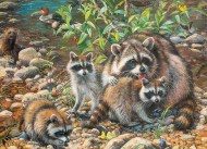 Puzzle Családi Puzzle: Racoon Family 350 darab