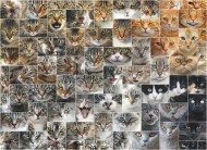 Puzzle Macskák - Kollázs