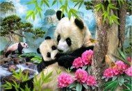 Puzzle Poranna panda