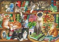 Puzzle Cats on books