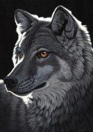 Puzzle Schim Schimmel: Nočný vlk
