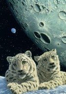Puzzle Schim Schimmel: la guarida del leopardo de las nieves