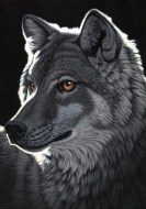 Puzzle Schimmel: Night Wolf