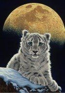 Puzzle Schim Schimmel: Leopardul lunii