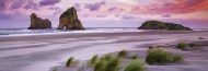 Puzzle Humboldt: plaja Wharariki