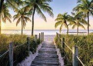 Puzzle Floridai tengerpart és a pálmafák 