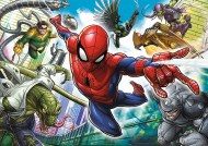 Puzzle Spiderman: Nascut sa fie un super-erou