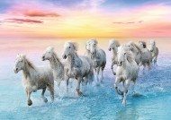 Puzzle Galloping White Horses