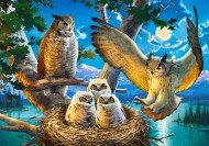 Puzzle Owl Family II