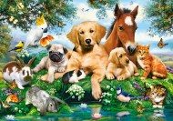 Puzzle Nyári barátok - Állatok