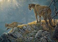 Puzzle Family Puzzle: Cougar and Kits 350 pieces