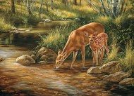 Puzzle Family Puzzle: Deer Family 350 dielikov