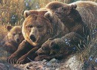 Puzzle Familiepuslespil: Grizzly Family 350 stykker