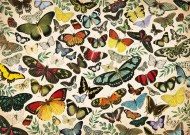 Puzzle Butterfly Poster