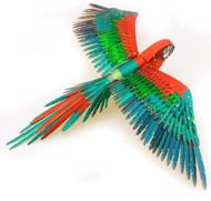 Puzzle Papagei 3D image 2