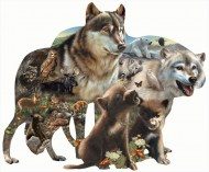 Puzzle manada de lobos