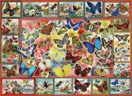 Puzzle Viele Schmetterlinge