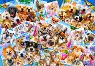 Puzzle Collage pour animaux de compagnie Selfie
