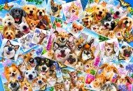 Puzzle Selfie Pet Collage 260 stykker