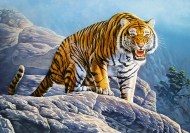 Puzzle Tiger on the Rocks