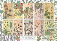 Puzzle Botanicals by Verneuil