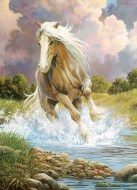 Puzzle Vágtató ló a folyón