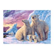 Puzzle Kolekcia Secret: Ľadové medvede image 2