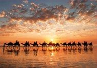 Puzzle Zlatý západ slnka na pláži Cable v Austrálii