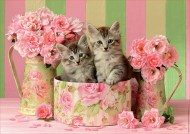 Puzzle Kitten with roses