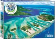 Puzzle Zachráňte našu planétu: Koralový útes image 2