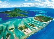Puzzle Zachráňte našu planétu: Koralový útes