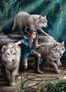 Puzzle Stokes: Síla tří vlků