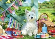 Puzzle Máltai kutyus a piknik
