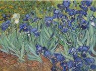 Puzzle Vincent Van Gogh: Iris