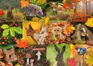Puzzle Jesenné zvieratká