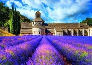 Puzzle Lavender fields