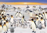 Puzzle Petrecerea pinguinilor
