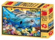 Puzzle Underwater life on a reef 3D