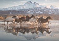 Puzzle Konji v Kapadokiji